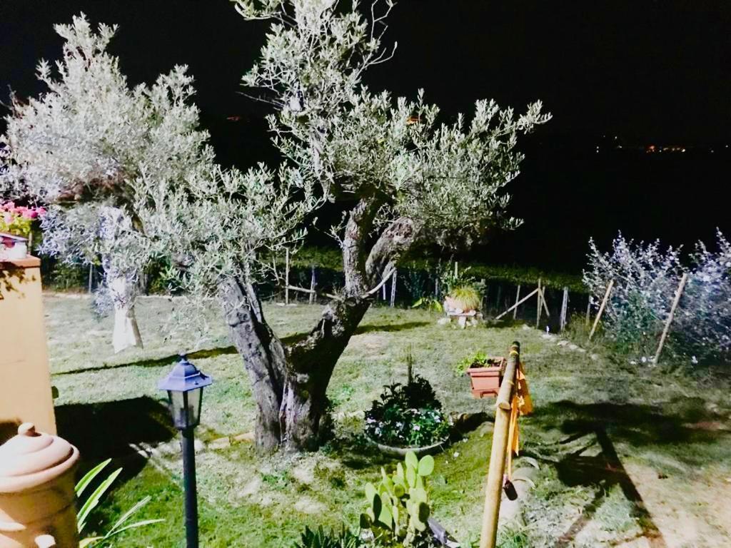 Villa Sarno Montesilvano Marina 外观 照片